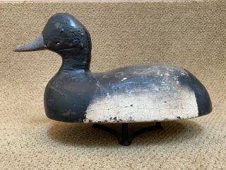 Vintage Fred Plicta Bluebill Drake Wood Duck Decoy Detroit Michigan Bobtail