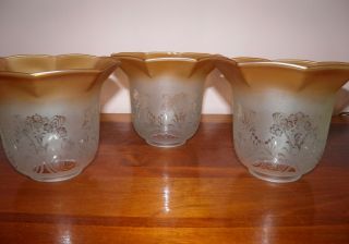 Set Of 3,  Vintage,  Floral Etched/frosted Glass Lamp Shades W/amber Octagonal Rim