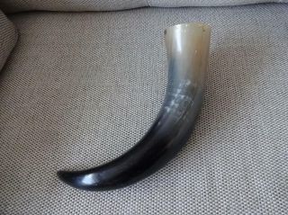 Natural Viking Drinking Horn Great For Camping Re - Enactment Stage Larp 1.  1/2 Pts