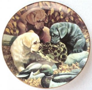 Budweiser Beer Dogs Plate Vintage Mans Best Friend Collectible Hunting 7071