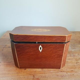 English Antique 19th Century Georgian Tea Caddy With Inlay Details