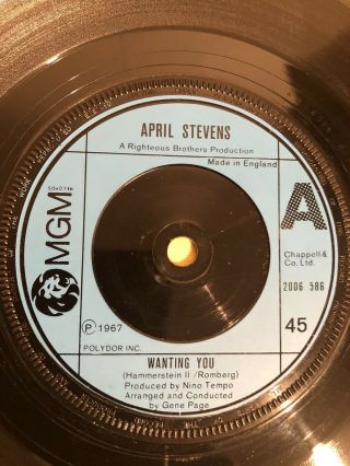 Northern Soul 45 April Stevens - Wanting You - Uk Mgm : Vg,