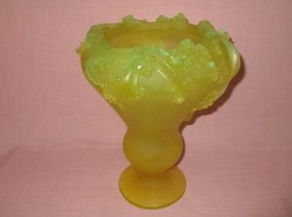 Daum Nancy France Crystal Art Glass Pate de Verre Large Mimosa Vase & Box 11.  75 