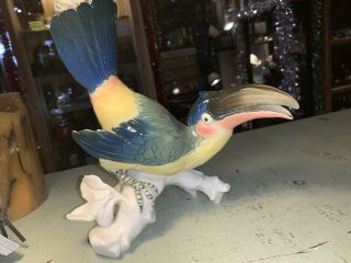 Karl Ens TOUCAN Porcelain Bird Figurine 2