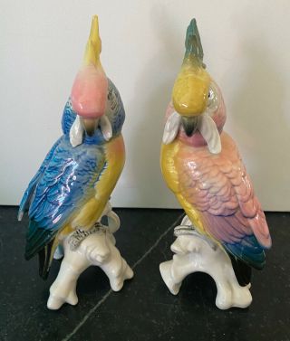 Karl Ens Volkstedt Porcelain Cockatoo Figurines Pair