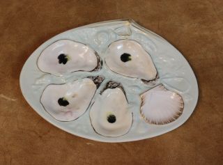 American Oyster Plate Union Porcelain