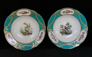 Pair Fine French Sevres Style Soup Plates,  Ornithological,  9.  7 In.  Circa 1860