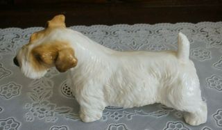 Vintage Rare Paragon Bone China Figurine Sealyham Terrier Dog,  England
