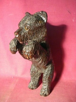 Antique 8 1/8 " Hand Carved Black Forest Bear With Glass Eyes