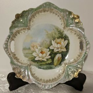 Gorgeous Antique German Victorian Porcelain Cabinet Plate - Water Lily Flowers