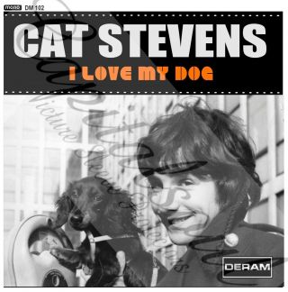 60s Folk Pop Deram Cat Stevens I Love My Dog Picture Sleeve