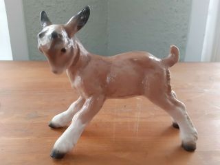 Vintage Porcelain Baby Goat Figurine From Germany 6 " Long X 4.  5 " High