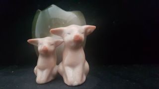 Victorian German Porcelain Pig Fairing 2 Pigs With A " Egg Match Holder "