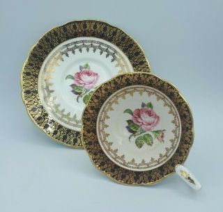 Royal Stafford Black & Gold Chintz Pink Cabbage Rose Tea Cup And Saucer