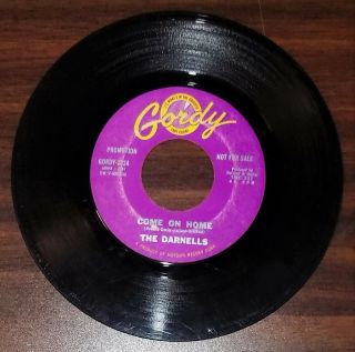 45 Rpm R&b Soul The Darnells Too Hurt To Cry/come On Home 1963 Gordy 7024 Promo