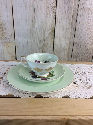 Trio 3 Piece Teacup Saucer & Plate Set Royal Grafton Green Gold Pears Grapes