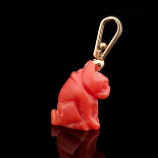 Vintage Carved Coral 14k Yellow Gold Dog French Bulldog Frenchie Charm Retro
