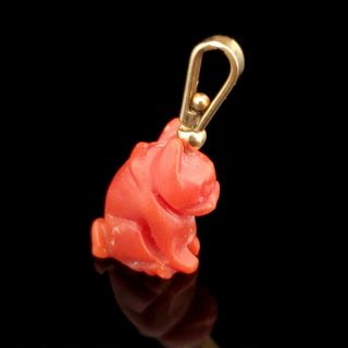 Vintage Carved Coral 14k Yellow Gold Dog French Bulldog Frenchie Charm Retro 2