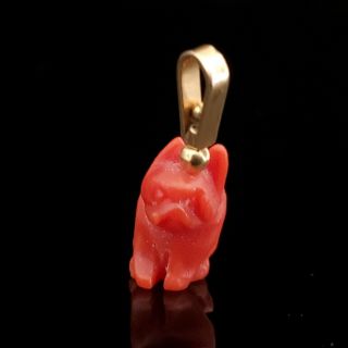 Vintage Carved Coral 14k Yellow Gold Dog French Bulldog Frenchie Charm Retro 3