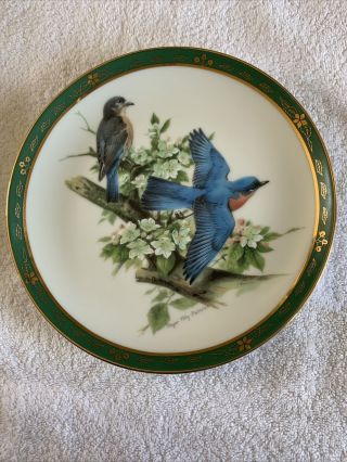 Bluebirds Plate The Songbirds Of Roger Tory Peterson Danbury A5129