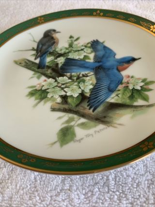 BLUEBIRDS Plate The Songbirds of Roger Tory Peterson Danbury A5129 2