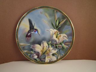 Vintage Pickard Gems Of Nature Ruby - Throated Hummingbird Bird Collector Plate