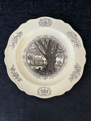 Wedgwood 10 " Collector 