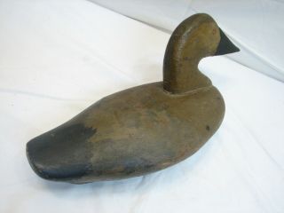 Vintage Red Head Canvas Back Hen Hunting Decoy Model Weight 2