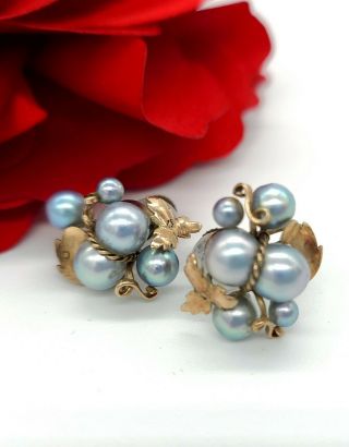 Vintage Antique 10k Gold Blue Akoya Pearl Leaf Screwback Earrings Japan