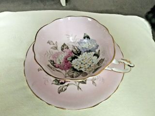 Vintage Paragon Bone China Baby Pink Hydrangea Double Warrant Teacup And Saucer