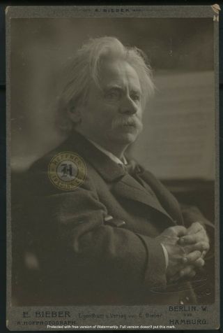 Vintage Composer Pianist: Edvard Grieg Cabinet Card Photograph By Bieber C 1890s