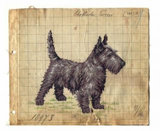 Antique Berlin Woolwork Hand Painted Chart Pattern Scotty Dog