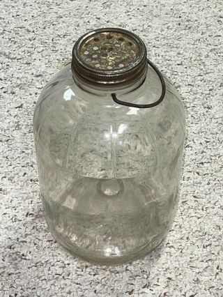 Vintage Ball Glass Minnow Trap