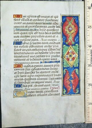 French Medieval Book Of Hours Leaf On Vellum,  Unusual Border Painting,  Ca.  1490
