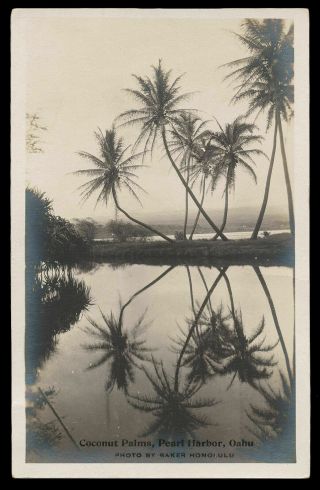 1919 Vintage Ray Jerome Baker Real Photo Postcard Rppc Palms Hawaii