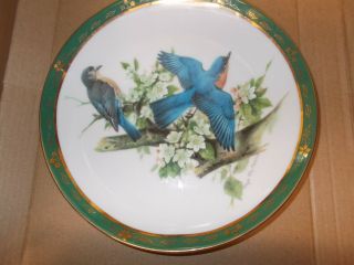 Danbury The Songbirds Of Roger Tory Peterson " Bluebirds " Collector Plate