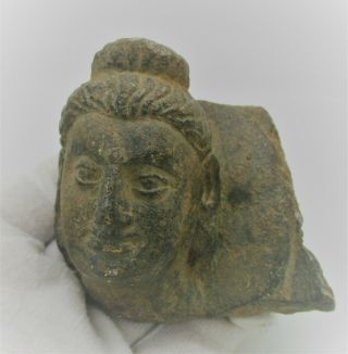 Ancient Gandhara Schist Stone Statue Fragment Head Of Buddha.  Rare
