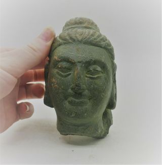 Scarce Ancient Gandhara Stone Buddha Statue Fragment Head Of Buddha