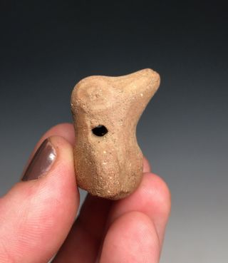 Pre - Columbian Terracotta Pottery Bird Whistle (functioning) Pendant