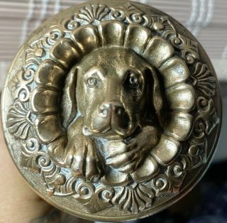 Very Rare Antique 1860s Russell & Erwin Bronze Figural Dog Doorknob.  Make Offer