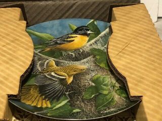 " The Baltimore Oriole " Knowles Collector Plate By Kevin Daniel 1985