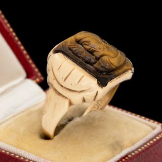 Antique Vintage Deco 10k Gold Carved Tigers Eye Cameo Mens Band Ring Sz 12.  75