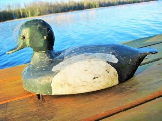 Antique / Vintage Duck Decoy Bluebill Drake Folk Art Primitive