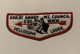 Oa Pellissippi Lodge 230 Great Smoky Mt.  Council Flap