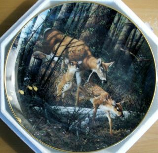 Trailblazers Wonders Of The Wilderness Collector Plate By Michael Sieve Deer