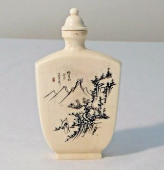 Vintage Signed Chinese Carved Raise Figural Snuff Bottle