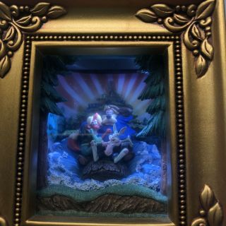 Disney ' s Olszewski Gallery Of Light SPLASH MOUNTAIN Magic Kingdom Ride Signed 4