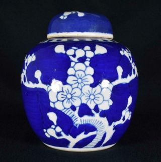 Antique Chinese Porcelain Ginger Jar Pot Prunus Blossom Pattern