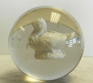 12619m Large 1.  78 Inches Vintage German Handmade Bird Sulphide Sulfide Marble