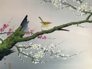 Japanese Hanging Scroll Kakejiku Hand Paint Silk Plum Tree Warbler Antique B477